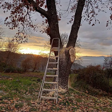 Bed & Breakfast Il Nido Del Cuculo